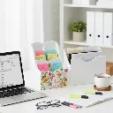 Copy of 015 (2).webp