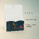 Copy of 022 (4).webp