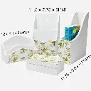 Copy of 017 copy.webp