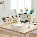 Copy of 017 (2).webp