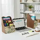 Copy of 011 (2).webp