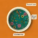 Copy of 020 (4).webp