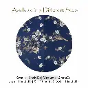 WP WBG 15-Recovered.webp