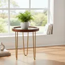 Round Nesting Side Table with Raised Edges and Artistic Floral Print – Sturdy Gold Tripod Base Indoor Planter Stand