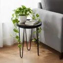 Decorative Botanical Side Table and Metal Indoor Pot Pedestal