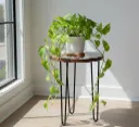 Vintage Floral Bird Print Plant Stand - Round Metal Side Table with Hairpin Legs