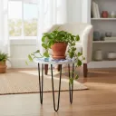 Elegant Blue Mandala Wooden Plant Stand – Round Side Table with Black Hairpin Legs