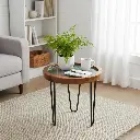 PP19 Rustic Wood & Bird on Branch Enamel Top Side Table with Black Iron Hairpin Legs - 3 Sizes